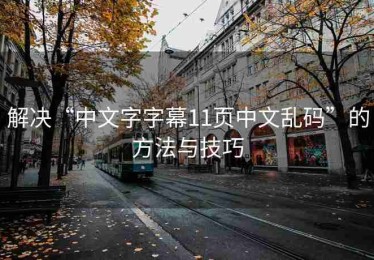 解决“中文字字幕11页中文乱码”的方法与技巧