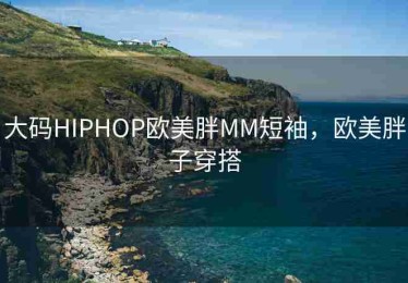 大码HIPHOP欧美胖MM短袖，欧美胖子穿搭