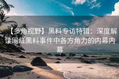 【多角视野】黑料专访特辑：深度解读网红黑料事件中各方角力的内幕内幕