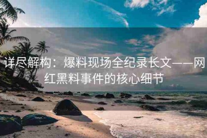 详尽解构：爆料现场全纪录长文——网红黑料事件的核心细节
