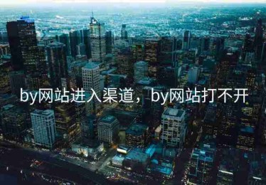 by网站进入渠道，by网站打不开