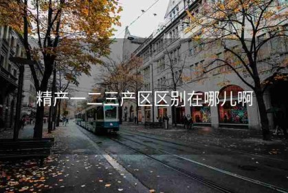 精产一二三产区区别在哪儿啊