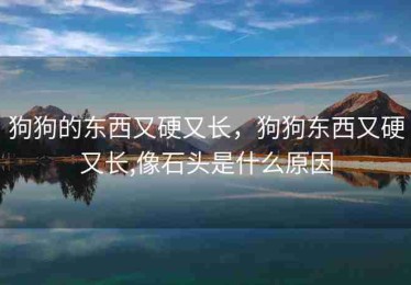狗狗的东西又硬又长，狗狗东西又硬又长,像石头是什么原因