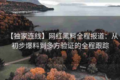 【独家连线】网红黑料全程报道：从初步爆料到多方验证的全程跟踪