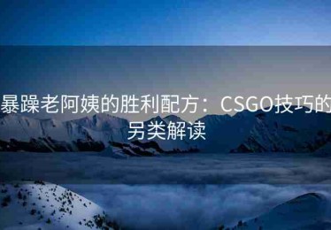 暴躁老阿姨的胜利配方：CSGO技巧的另类解读
