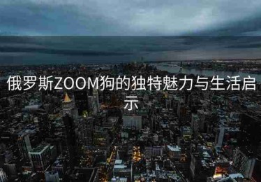 俄罗斯ZOOM狗的独特魅力与生活启示