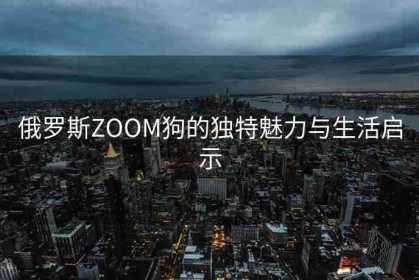 俄罗斯ZOOM狗的独特魅力与生活启示