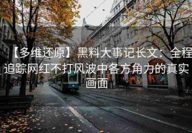 【多维还原】黑料大事记长文：全程追踪网红不打风波中各方角力的真实画面