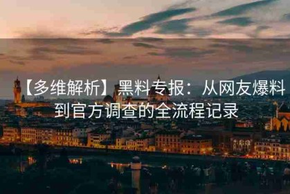【多维解析】黑料专报：从网友爆料到官方调查的全流程记录
