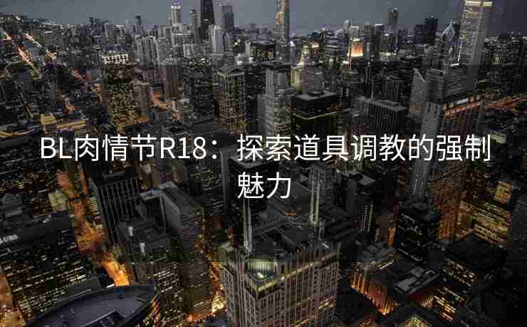 BL肉情节R18：探索道具调教的强制魅力