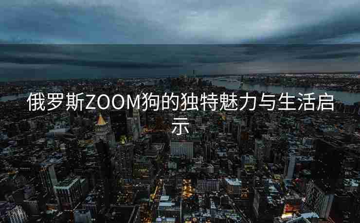 俄罗斯ZOOM狗的独特魅力与生活启示 俄罗斯ZOOM狗的独特魅力与生活启示